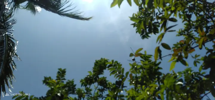 4556f3762162d3da7551f45d10942a4ceee38a7160443396a18dd6db414ef4aa.png