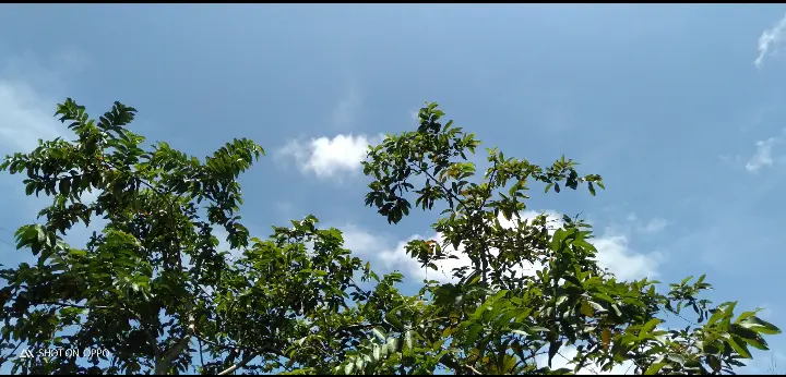 60b6502640dff9d065f11381d362f7762b20e6d3c7028813a9017394efebd425.png