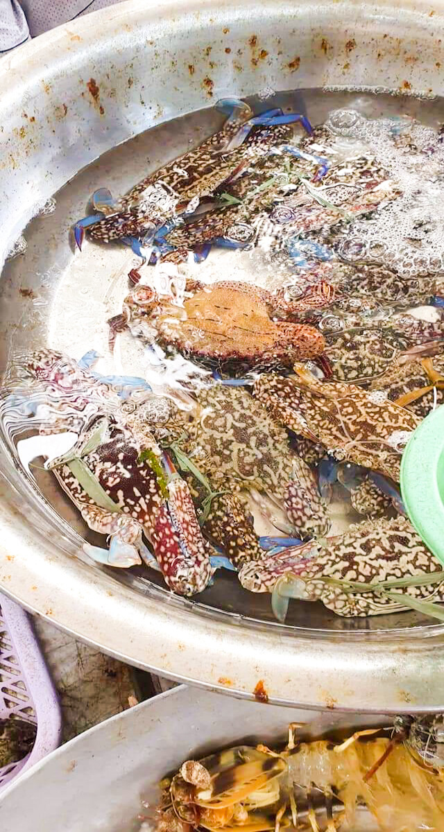 Crabs