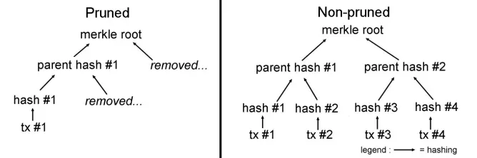 how does pruning run ?