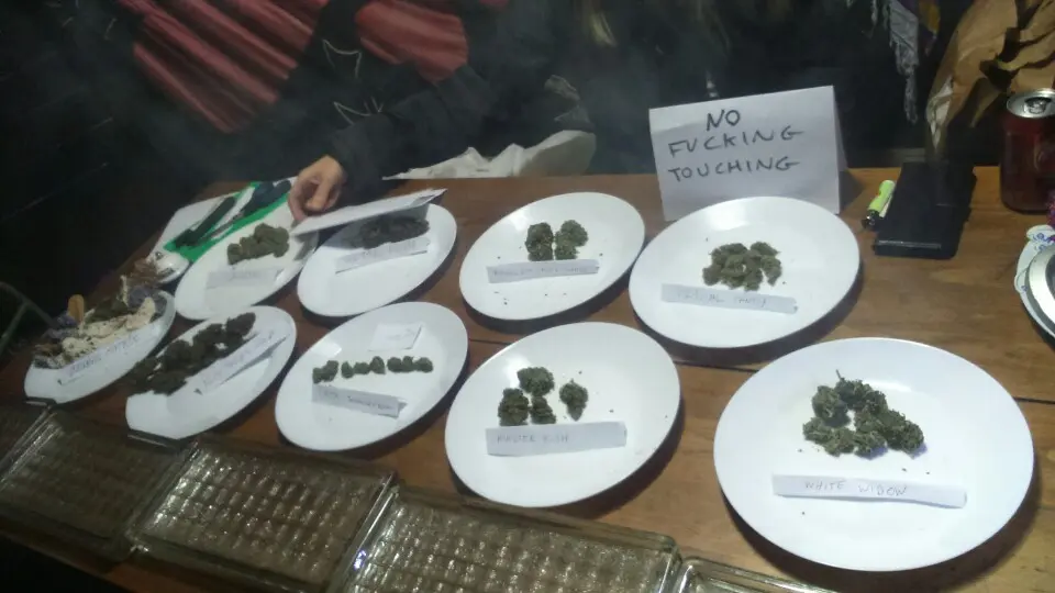 Local Cannabis Cup