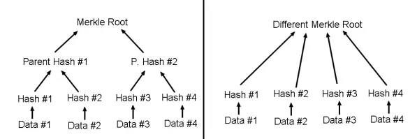 same data, different merkle roots