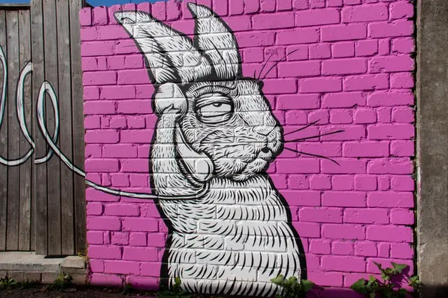 white rabbit using telephone graphitti