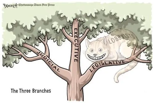 Beware of them Cats!
