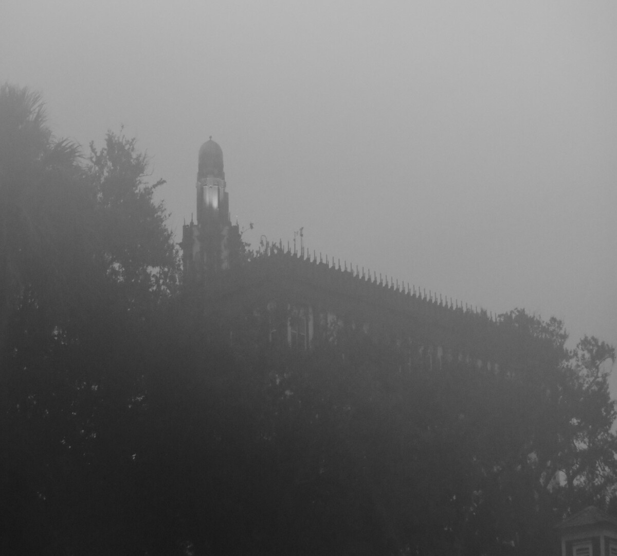 Foggy1