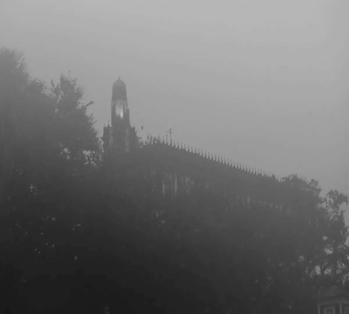 Foggy1