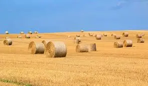 Make Hay