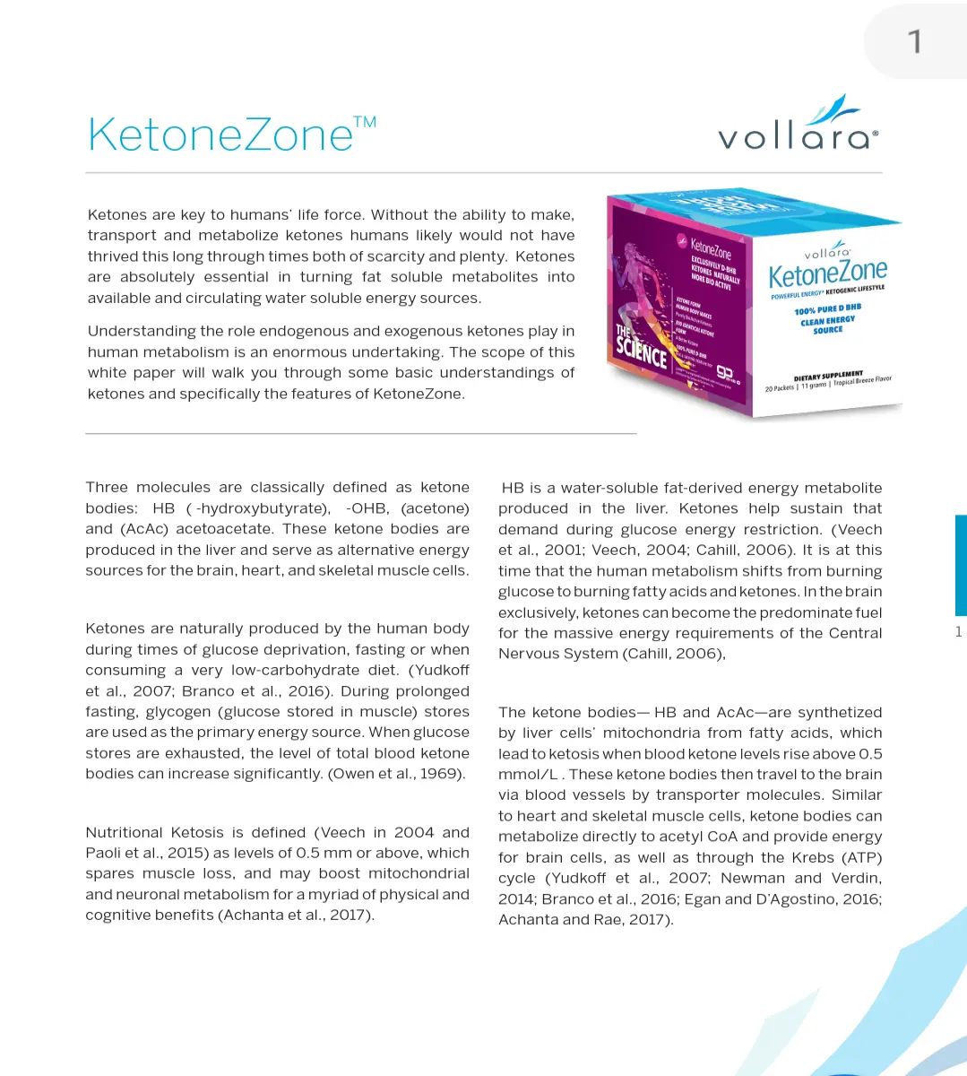 White Paper 1