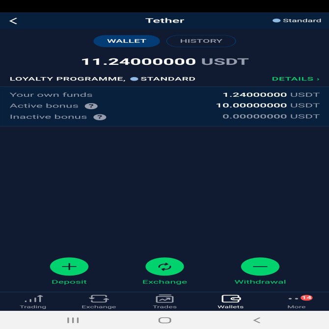 Stormgain wallet balances