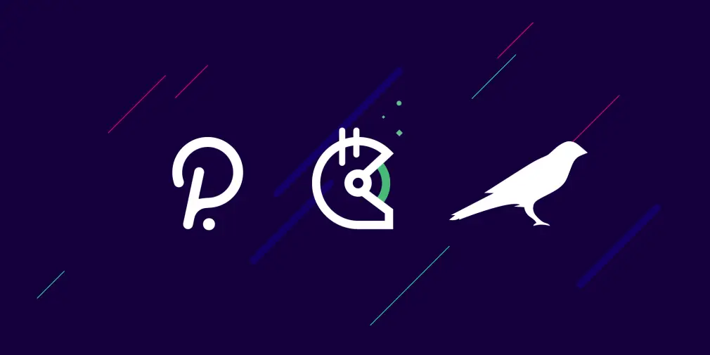 Kusama and Polkadot on Gitcoin