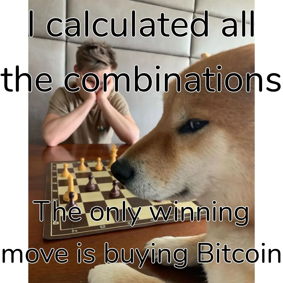 doge chess meme bitcoin