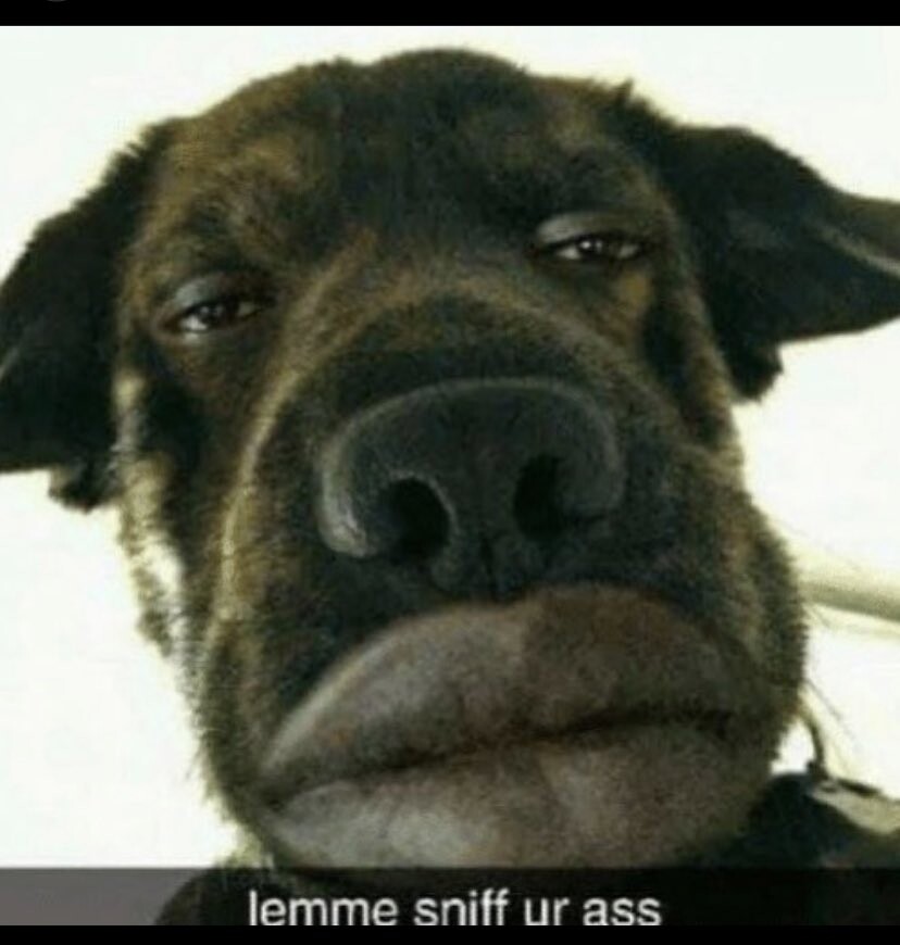 20787850c3aff66b14c170d4ee1b4328f4e464fc61f20c8d06d84fd554d8bcef.jpeg