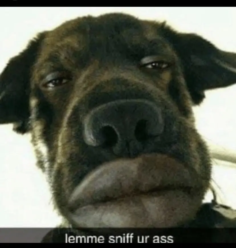 20787850c3aff66b14c170d4ee1b4328f4e464fc61f20c8d06d84fd554d8bcef.jpeg