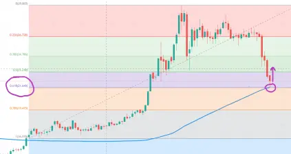 bf7272e6f3510ddf241fd385424d398d79eeee829db7304b8229878313797911.png
