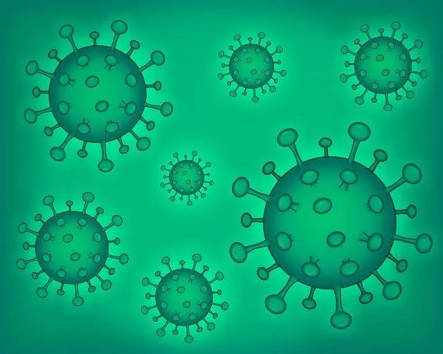 covid-19,corona virus, quarentine, pandemic, india