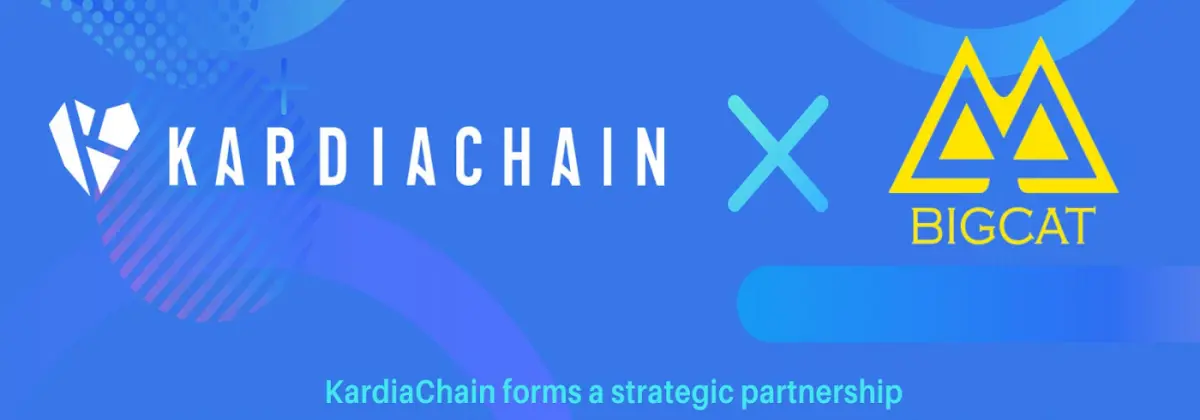 Partnership with BIGCAT Entertainment