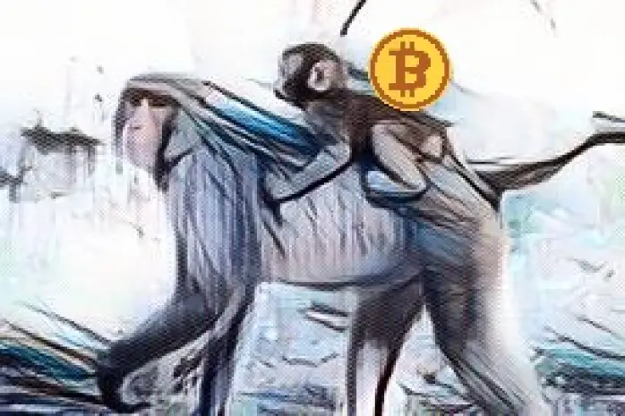 351665157-0a8886fd76ef2f499ccf76de91601ac2bcc7b39a984e509172ea8c0ff6cd5c2e.jpeg