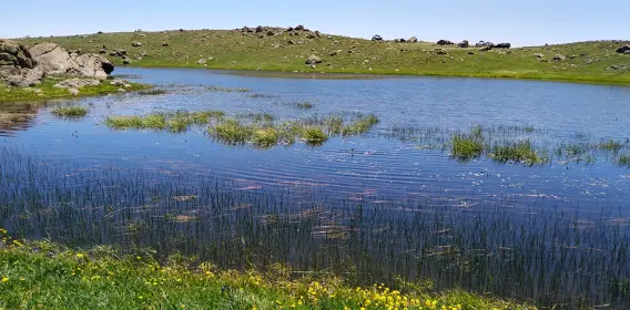 Charming Pond in The Highest Mountain of Talesh, Guilan, Iran