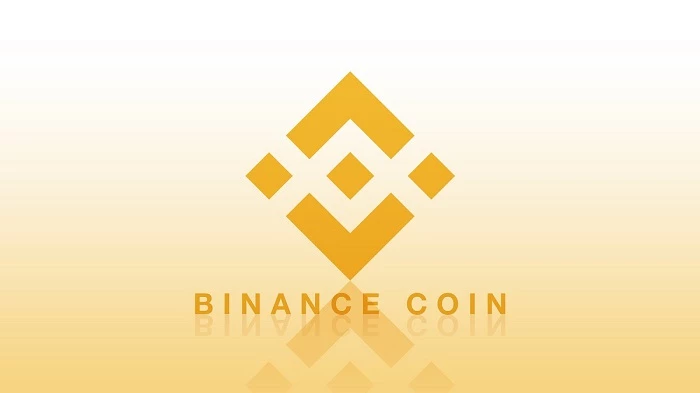 351665157-41b2712e52b456e751b400d38a4eb7bd64f75879e47f6b97c82655bf58fa83e7.jpeg