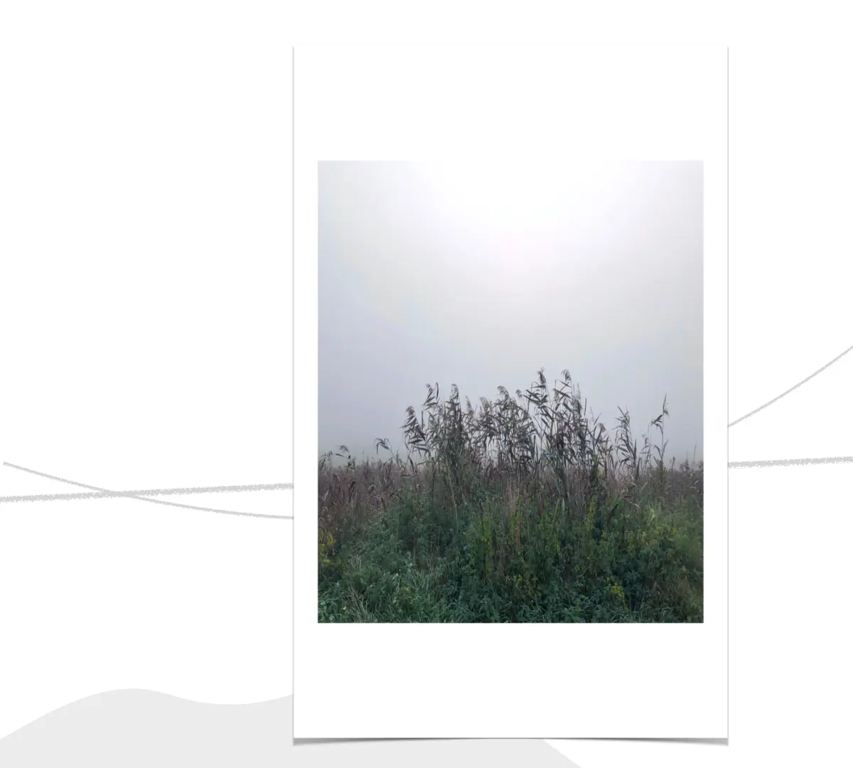 mistymorning_szbarnaus