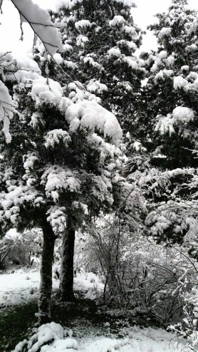 natural attractions of Iran, Winter