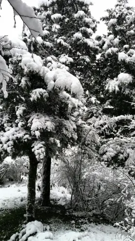 natural attractions of Iran, Winter