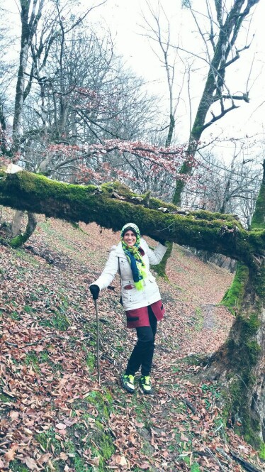 forests and nature of North of Iran