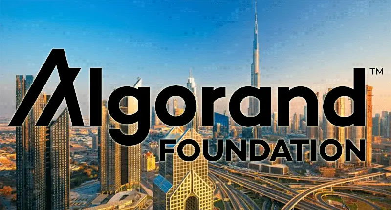 algorand foundation