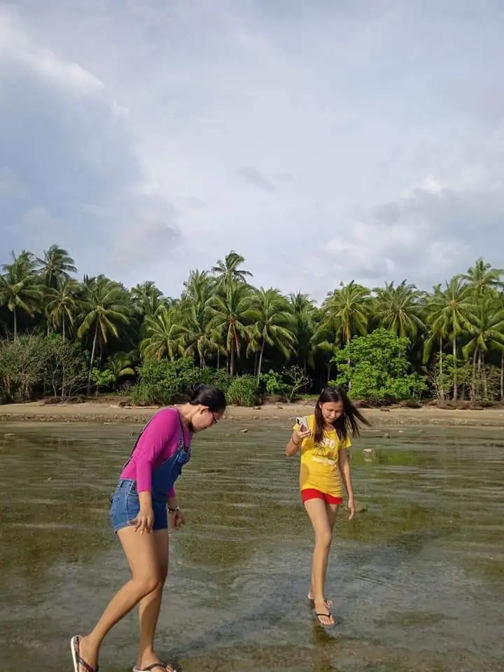 f174b06c4f34cf36408c5a4d317c4d66e5c3e45ea814b5cee55cde246529ed7e.jpeg
