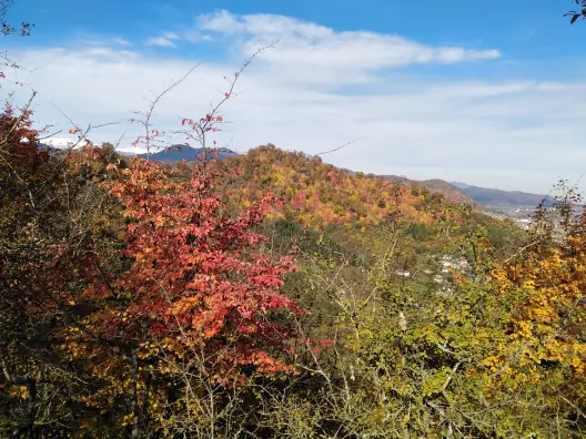 Autumn in north Iran Forests, nature
