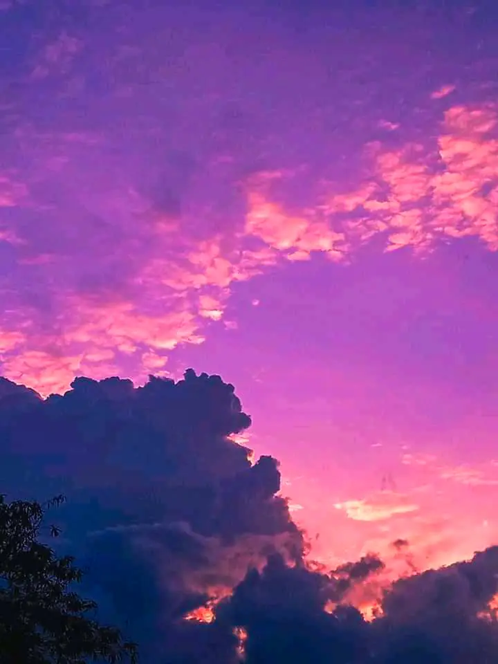 8189dca8e83695035f2f626519b700a47d0a4bf3b82448fb29ad7fef5bdade21.jpeg