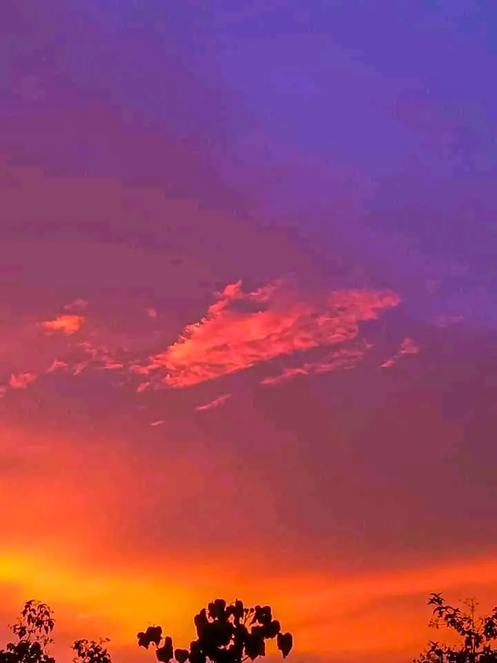 a4a62b9b15ce4e1b1d1c9da7c8d042f6c7f2318bc7f2fbff2241069e339c8b40.jpeg