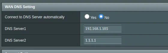 DNS Setting on router's WAN page