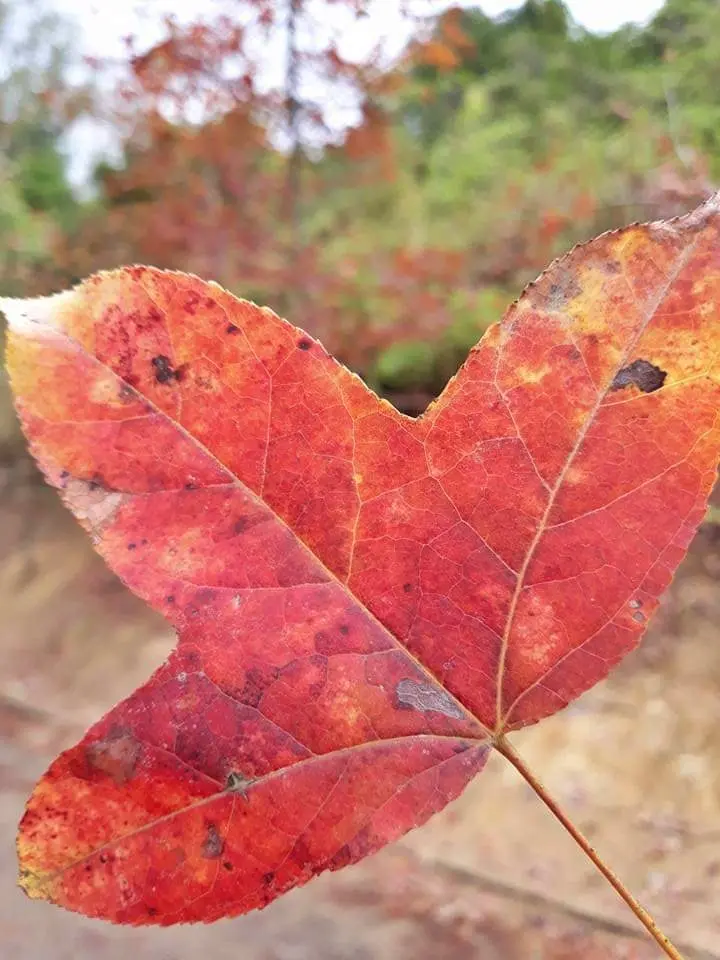 Photo by me
