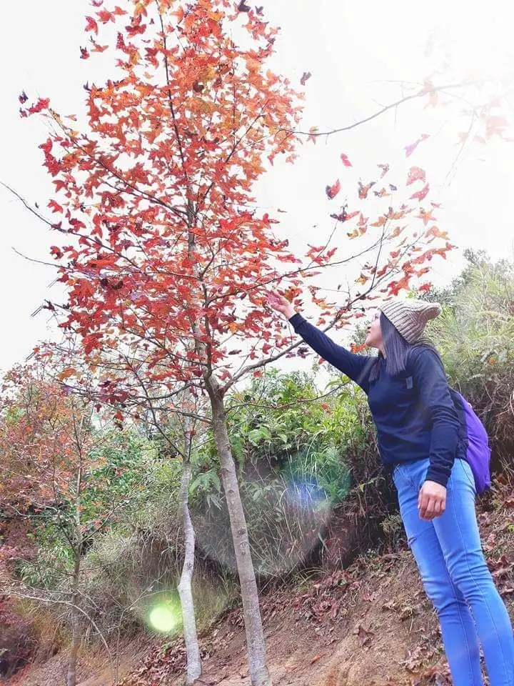 Photo by me