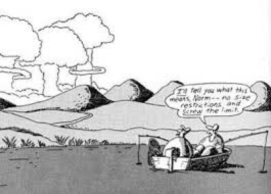 Limits , Do they even matter now Gary Larsen Classic