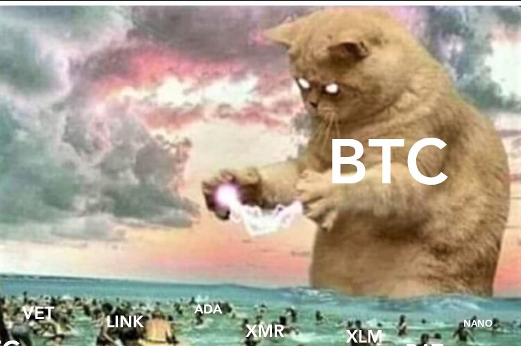 064575e9fc708a954db0f7f57eb54ee64b6bc9e44887c9857c8d89fa92028f0e.jpeg