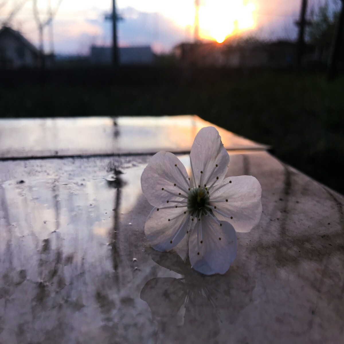 Photo made by ME