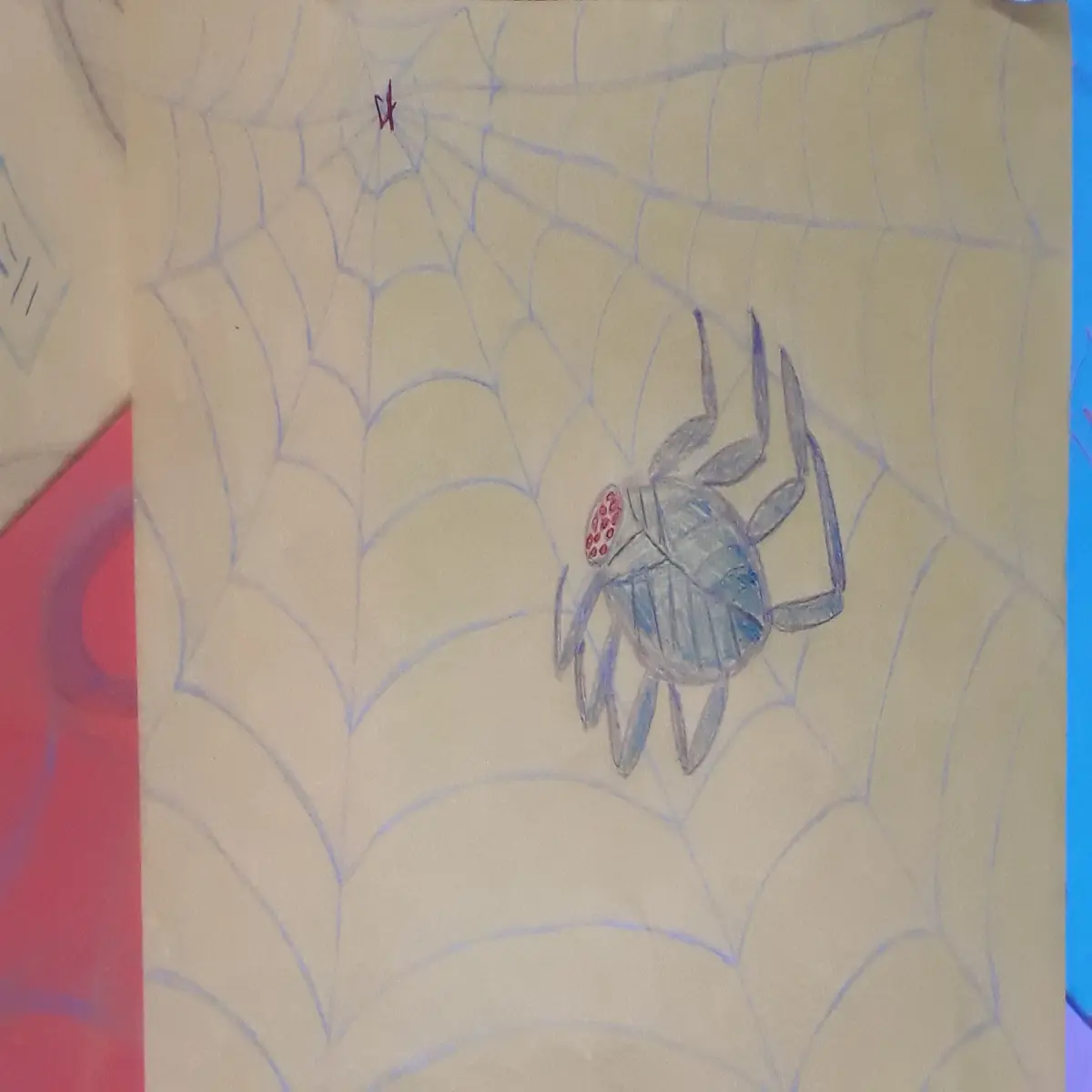 My Web