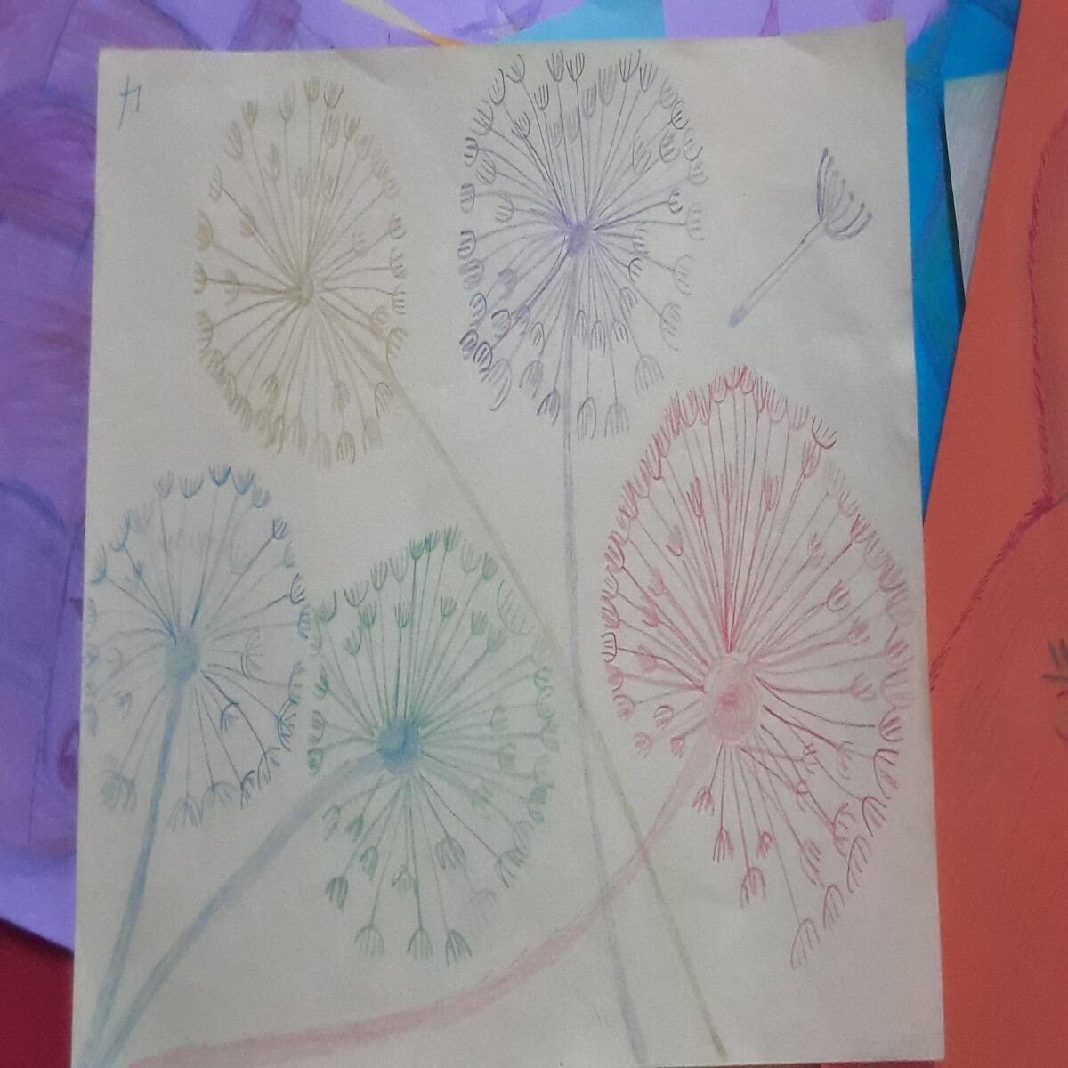 Dandelions
