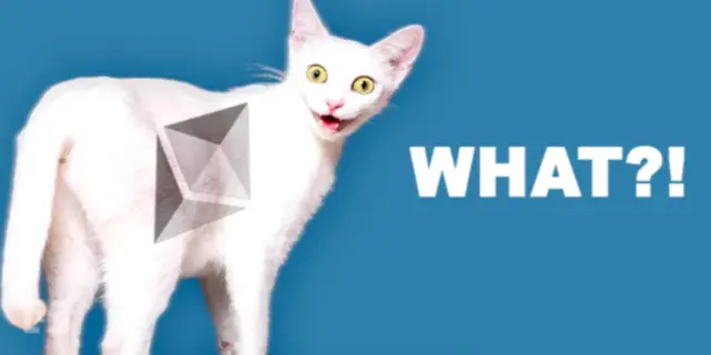 0e6d46e1176409cd69b47ecd35a05037d683fa9d0baf0a60e2e567a3f8394dba.png