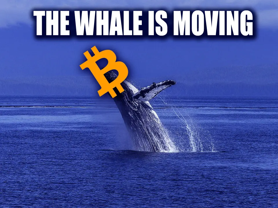 fa45f2b743e9c4f222164990f62f57604405c33375015163abc042900ec55994.jpeg