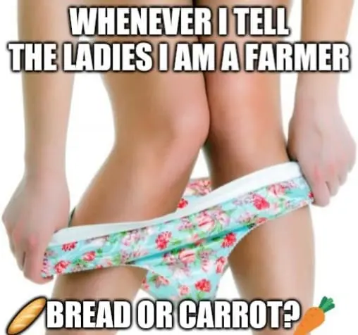 008d3edb13969763c1e756b2635c947dd6b793b1777080ffd39f85f9f8cc41e3.jpeg