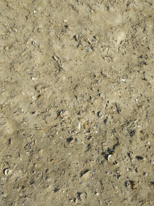 0d0db01d4e381c8384ce70dde96c1336f9e66e1deded29cbbdecc25d8c60149f.jpeg