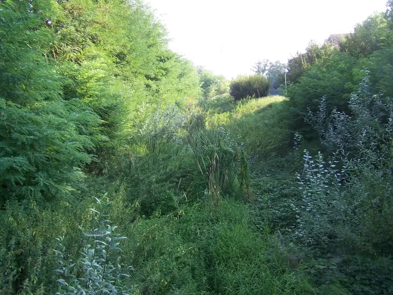 a5eec6a4f46a1837f7c209468ea26a70d16d3fa92b5dcfdd44ae4c5ace904eca.jpeg
