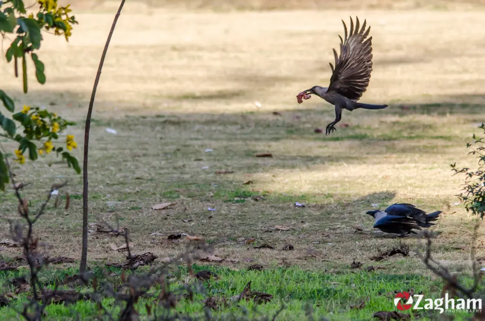 50a3f0e63945cc4afee1eb96a21f40eb776e67fa114ea3b8fa4bc2cd1f410b4a.jpeg