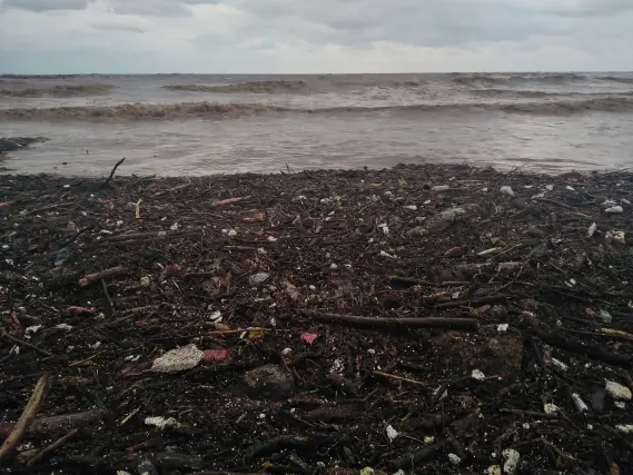 Cycling by The Beach in Iran, flood, nature,