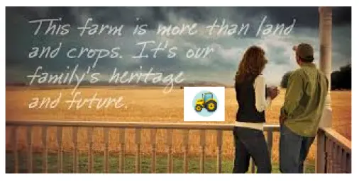 c55786c5eaeece1af9e6ea557e3e293f9ad1bf2db5563751853da669c83615b8.png