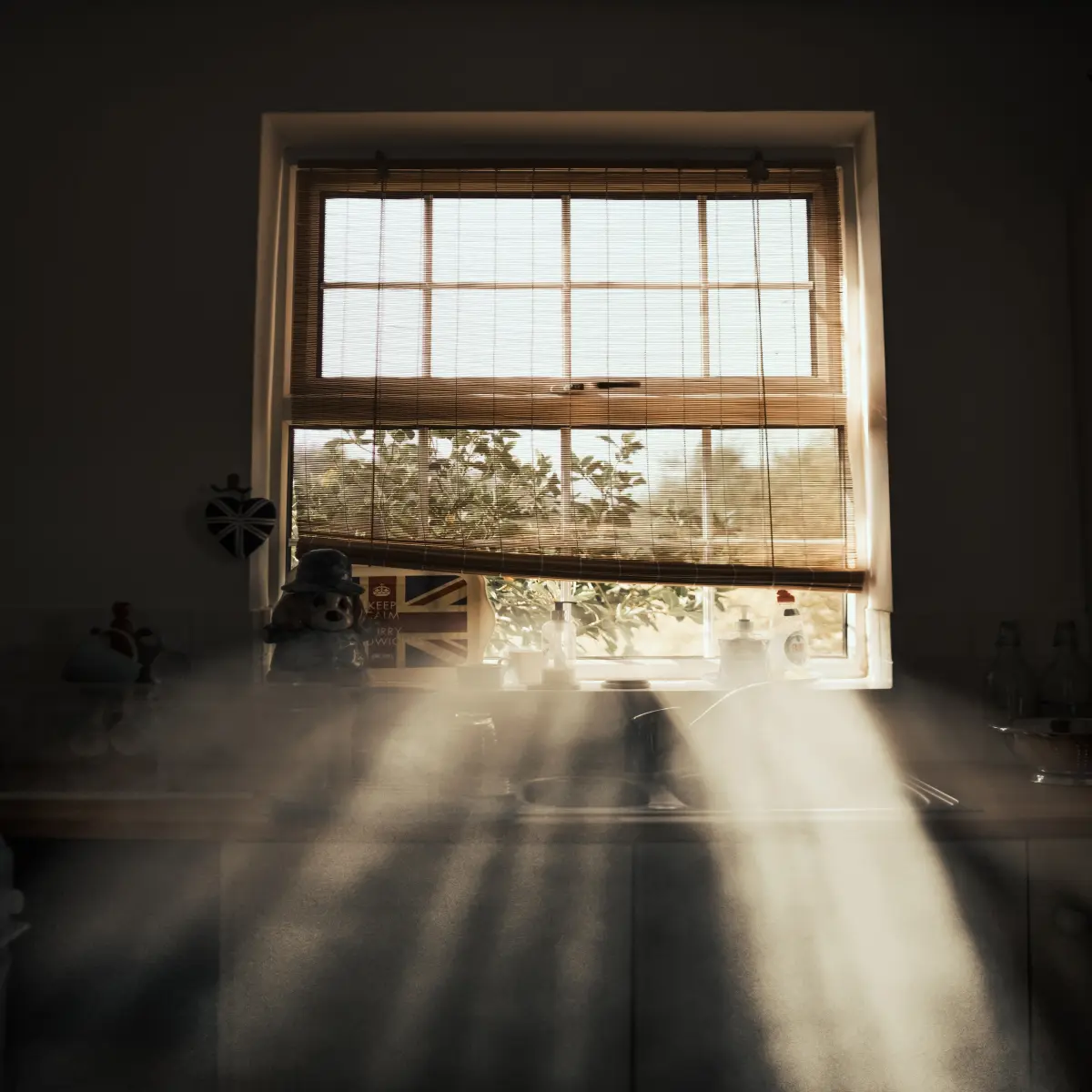 https://unsplash.com/photos/i8xzc1aPNYA?utm_source=unsplash&utm_medium=referral&utm_content=creditShareLink