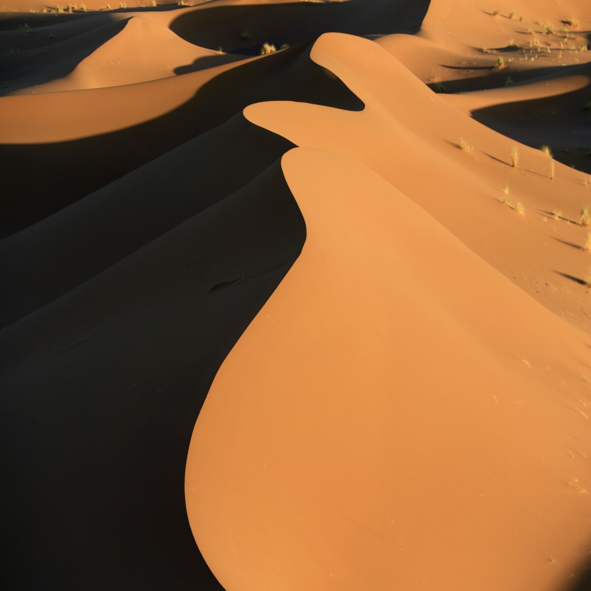 https://unsplash.com/photos/fmHjwMOVSGI?utm_source=unsplash&utm_medium=referral&utm_content=creditShareLink